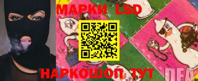 бошки Шелехов