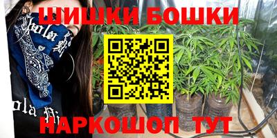 бошки Шелехов