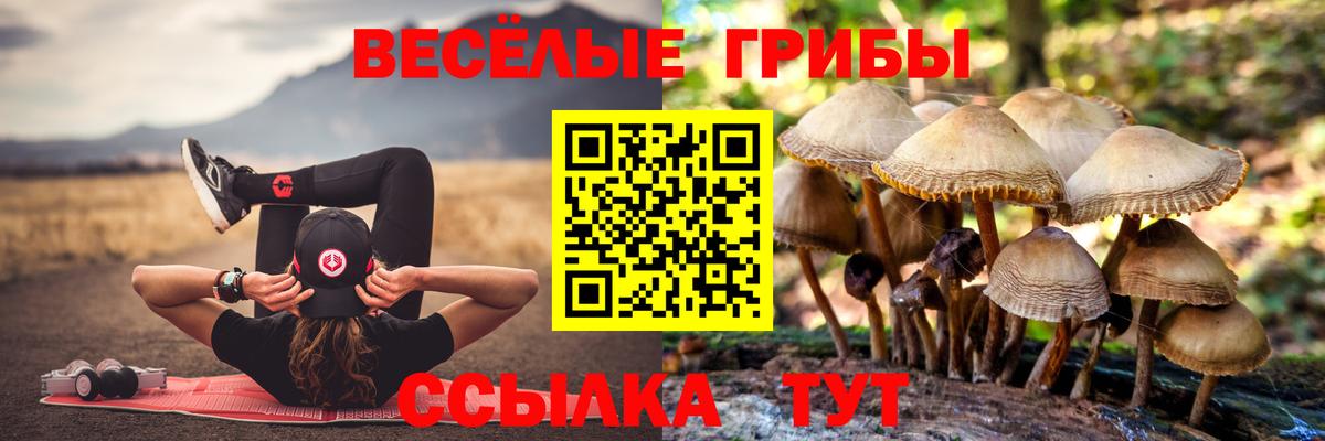 Галлюциногенные грибы Magic Shrooms Гатчина