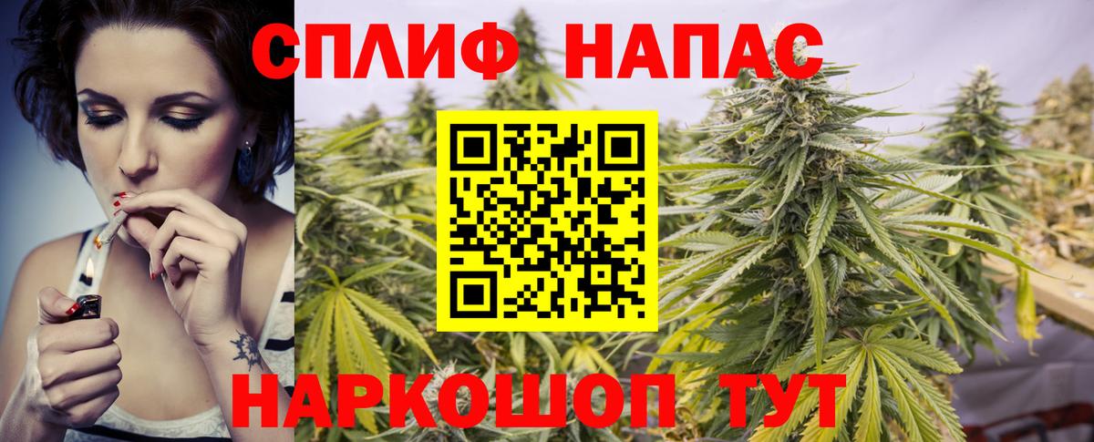 Бошки марихуана LSD WEED  Бошки Шишки VHQ  Вход с VPN  Гатчина  Бошки марихуана ГИДРОПОН 